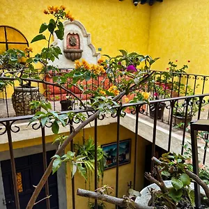 Auberge de jeunesse Maison Bougainvillea, Antigua